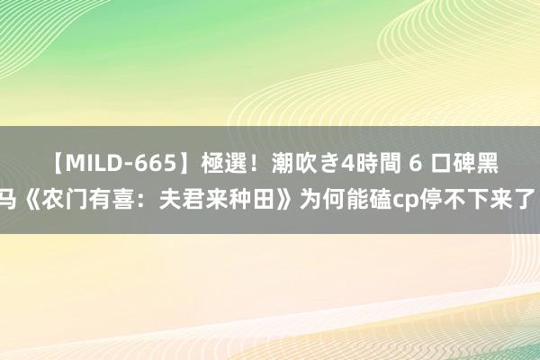 【MILD-665】極選！潮吹き4時間 6 口碑黑马《农门有喜：夫君来种田》为何能磕cp停不下来了！