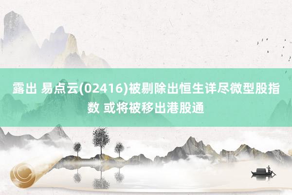 露出 易点云(02416)被剔除出恒生详尽微型股指数 或将被移出港股通