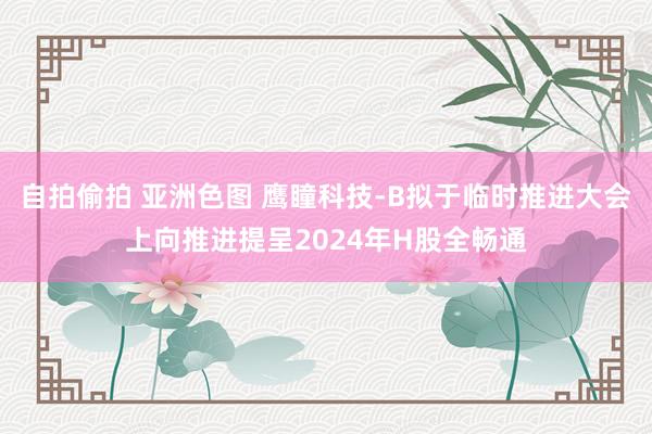 自拍偷拍 亚洲色图 鹰瞳科技-B拟于临时推进大会上向推进提呈2024年H股全畅通