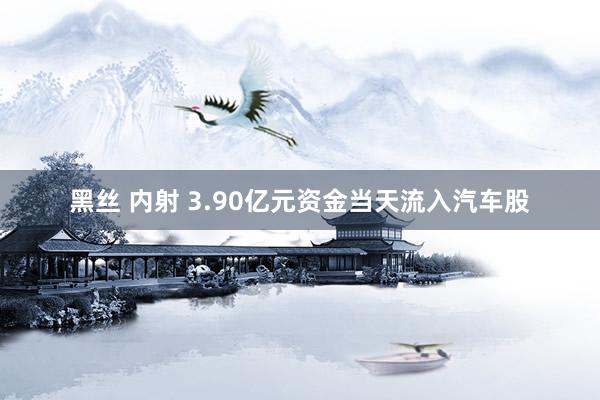 黑丝 内射 3.90亿元资金当天流入汽车股