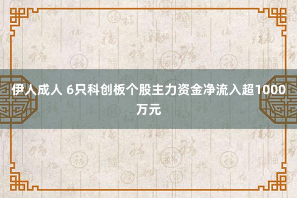 伊人成人 6只科创板个股主力资金净流入超1000万元