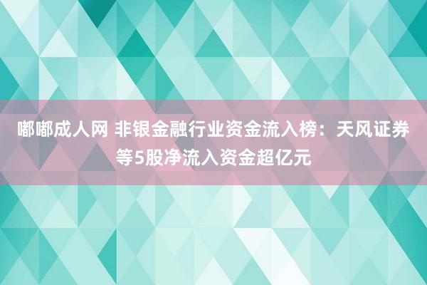 嘟嘟成人网 非银金融行业资金流入榜：天风证券等5股净流入资金超亿元