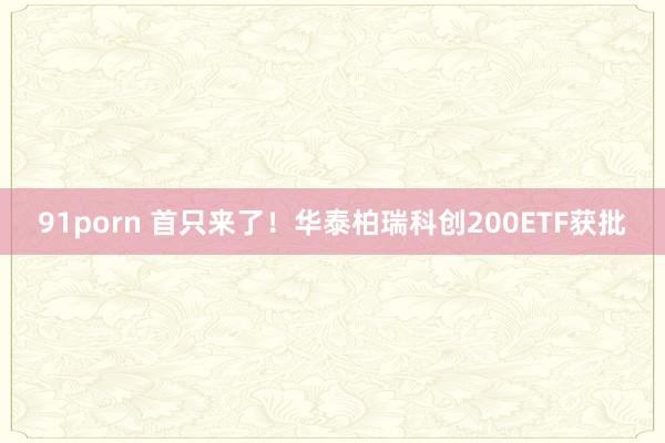 91porn 首只来了！华泰柏瑞科创200ETF获批