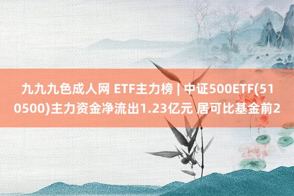 九九九色成人网 ETF主力榜 | 中证500ETF(510500)主力资金净流出1.23亿元 居可比基金前2
