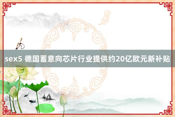 sex5 德国蓄意向芯片行业提供约20亿欧元新补贴