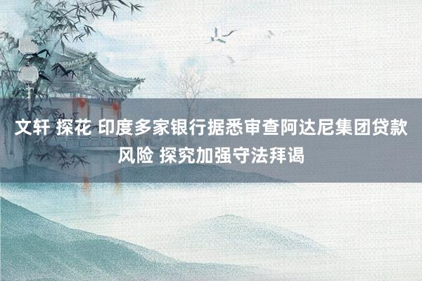 文轩 探花 印度多家银行据悉审查阿达尼集团贷款风险 探究加强守法拜谒