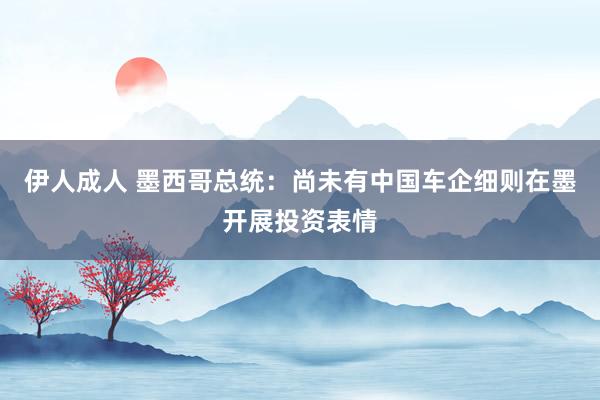 伊人成人 墨西哥总统：尚未有中国车企细则在墨开展投资表情