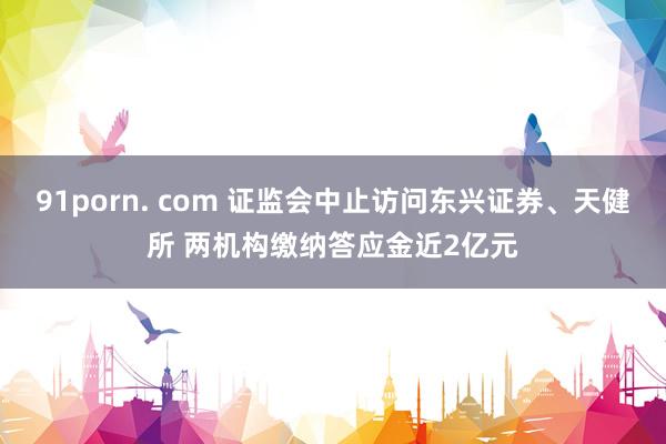 91porn. com 证监会中止访问东兴证券、天健所 两机构缴纳答应金近2亿元