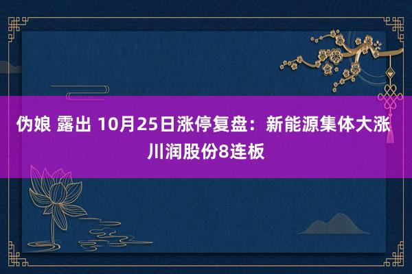 伪娘 露出 10月25日涨停复盘：新能源集体大涨 川润股份8连板