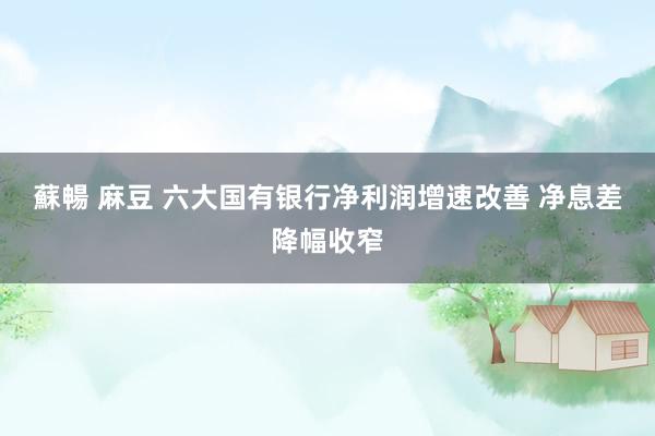 蘇暢 麻豆 六大国有银行净利润增速改善 净息差降幅收窄