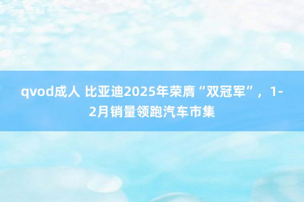qvod成人 比亚迪2025年荣膺“双冠军”，1-2月销量领跑汽车市集