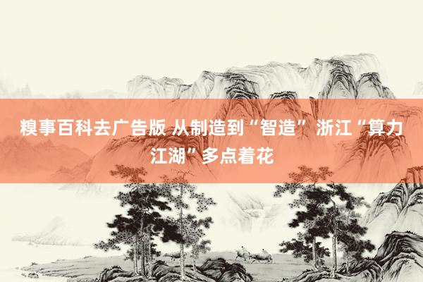 糗事百科去广告版 从制造到“智造” 浙江“算力江湖”多点着花