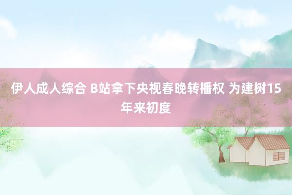 伊人成人综合 B站拿下央视春晚转播权 为建树15年来初度